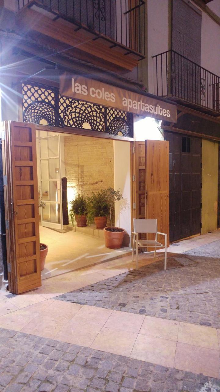 Las Coles Apartasuites Xàtiva Exterior photo
